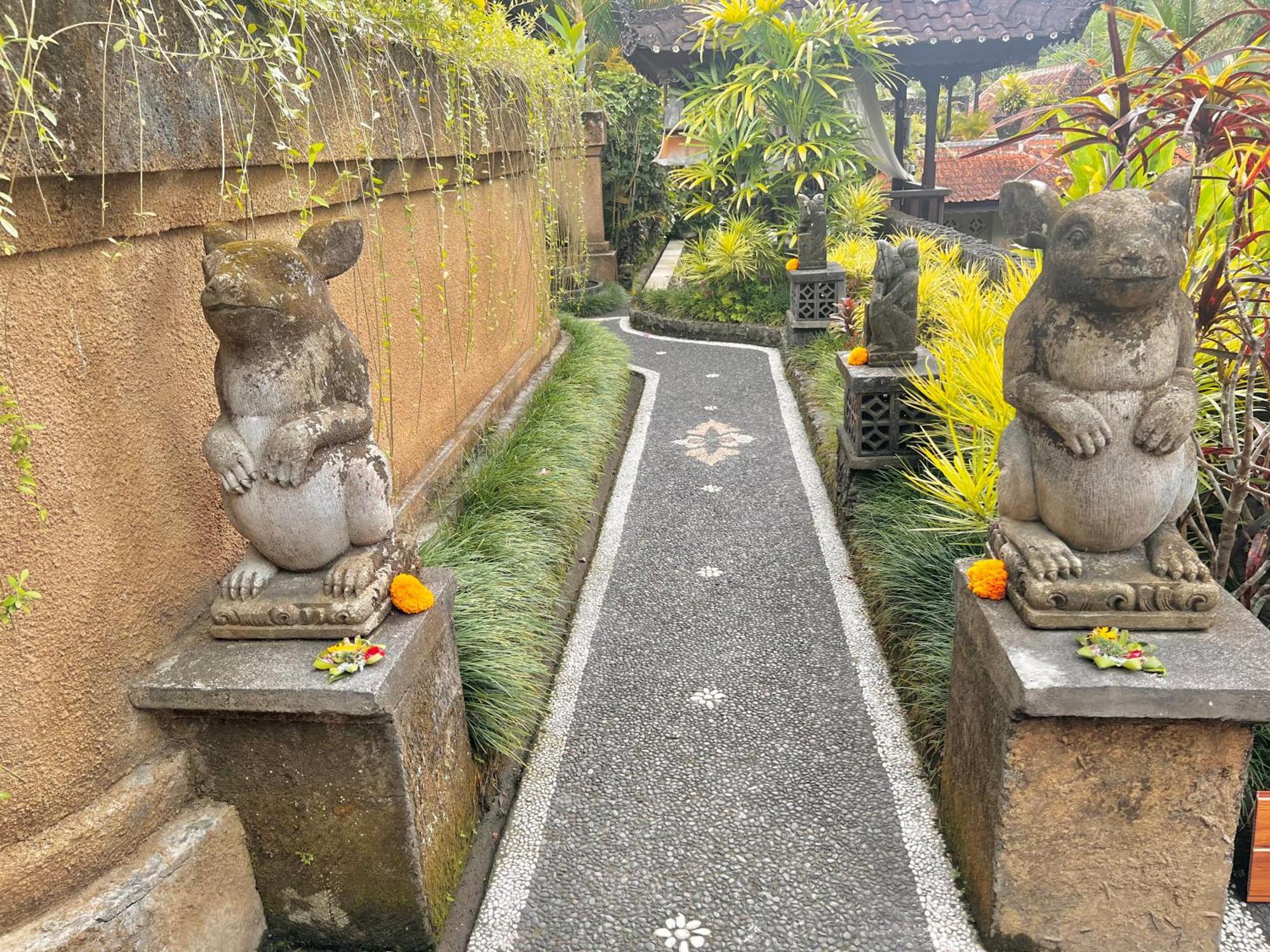 Rumah Kelinci Ubud  Exterior photo